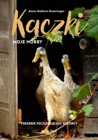 Kaczki - moje hobby