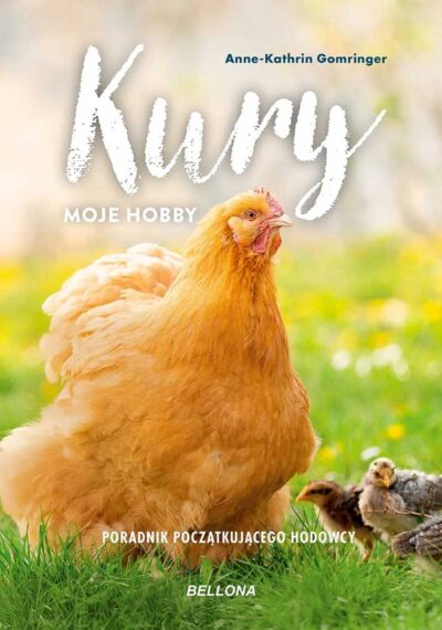 Kury - moje hobby