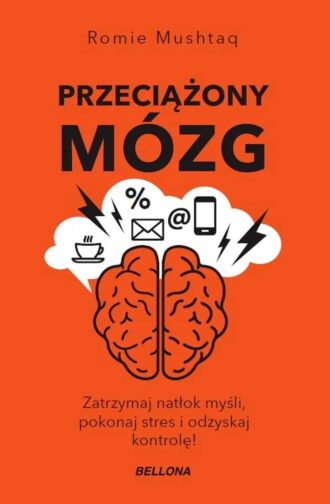 Przeciążony mózg