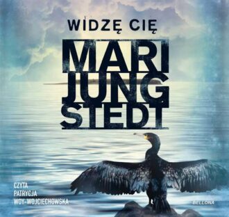 Widzę cię (audiobook)