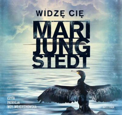 Widzę cię (audiobook)