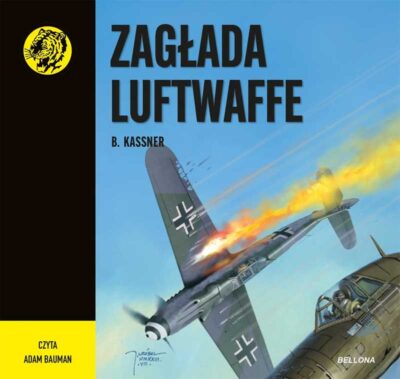 Zagłada Luftwaffe (audiobook)